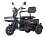 Електроскутер триколісний Maxxter ANT (Black)