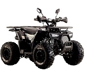 Квадроцикл бензиновый Spark SP125-9 (Black)