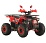 Квадроцикл бензиновый Spark SP125-9 (Red)