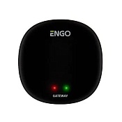 Універсальний Інтернет-шлюз ENGO EGATEZB