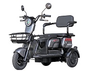 Электроскутер трехколесный Maxxter ANT LI (Gray)
