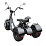 Электроскутер трехколесный Maxxter TRIKE (Black)