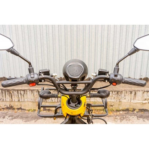 Электроскутер Vega City Cat Delivery II