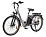Электровелосипед Maxxter CITY 2.0 (Silver)