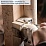 Фрезер для снятия лака и краски Scheppach LFR720 (5914901901)