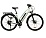 Электровелосипед Ranger Lady 820L (white)